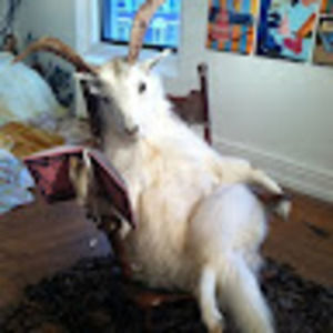 Meet your Posher, Blizzy